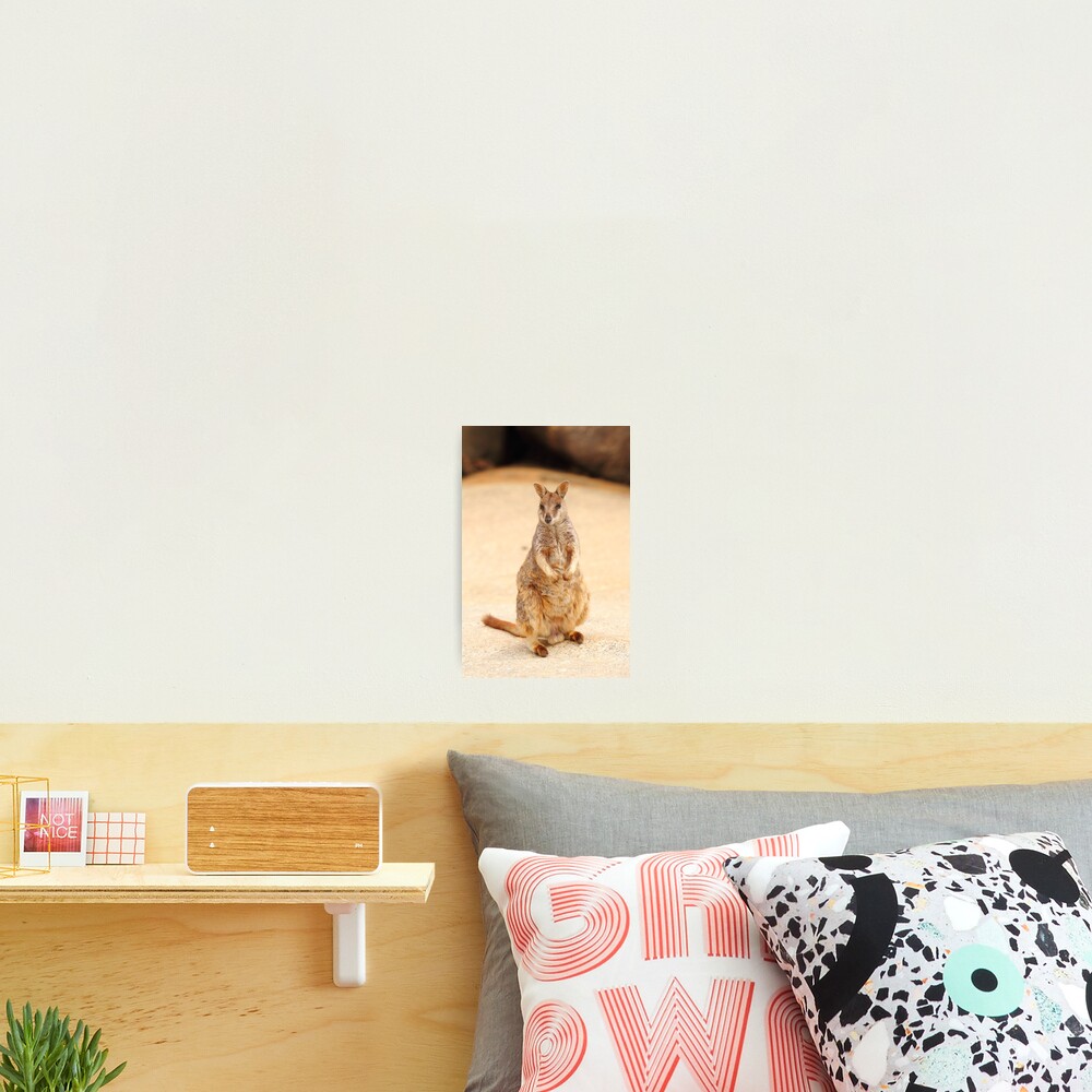 Item preview, Photographic Print designed and sold by CBoyle.