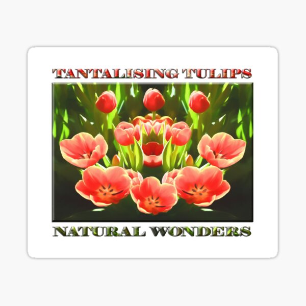 Tulips (digital painting) Sticker