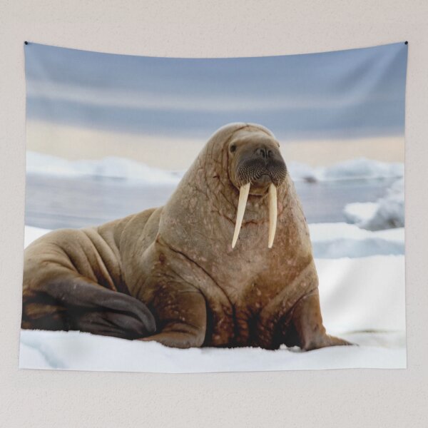 Item preview, I Am the Walrus designed and sold by Marylou Badeaux.