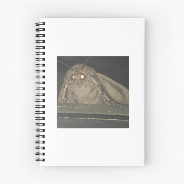 Item preview, Moth meme designed and sold by Meme Economy.