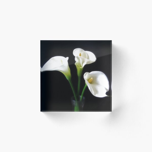 Elegant Calla Lily Flowers 10 Acrylic Block