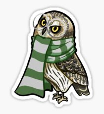 Cunning Short-Earred Owl Sticker