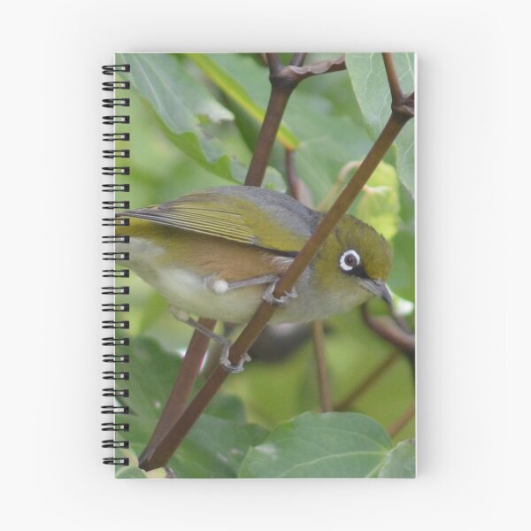 Item preview, Mt Silvereye designed and sold by lizdomett.