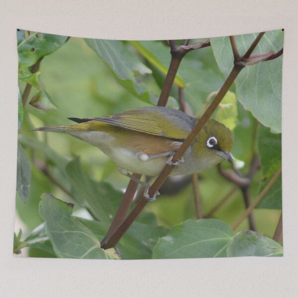 Item preview, Mt Silvereye designed and sold by lizdomett.