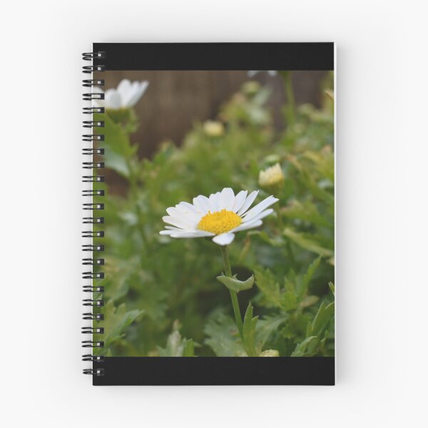 Item preview, White Flower designed and sold by PicsByDerek.