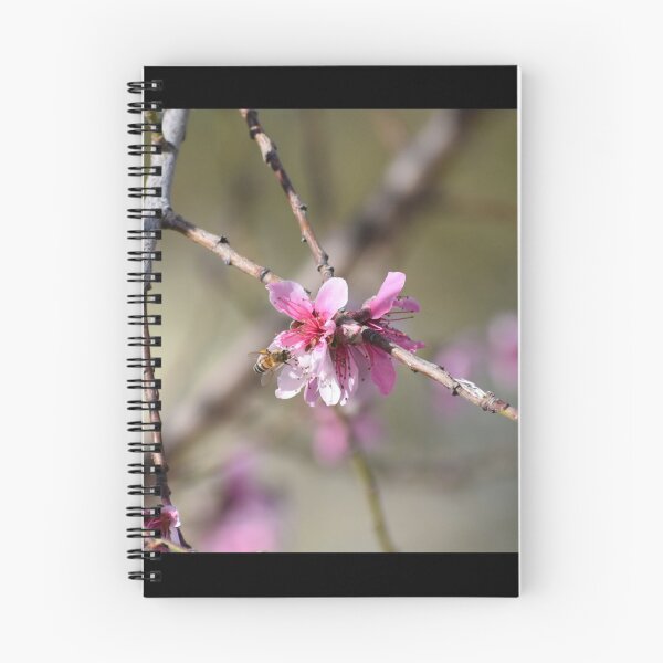 Item preview, Bee on a Flower designed and sold by PicsByDerek.