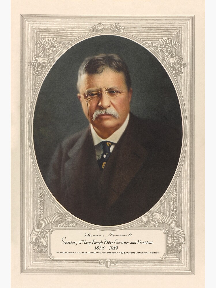 Disover President Theodore Roosevelt Premium Matte Vertical Poster