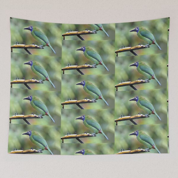 Item preview, Blue-throated Toucanet designed and sold by Carole-Anne.