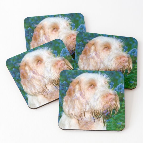 Item preview, In The Bluebells Spinone designed and sold by FOLK ART FUSION.