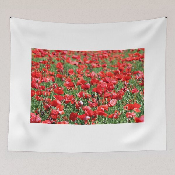 Aperçu de l'œuvre coquelicots rouges champ de fleurs printemps saison créée et vendue par goceris.