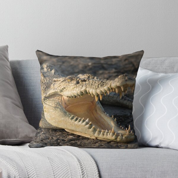 Item preview, Saltwater Crocodile, Kakadu National Park Northern Territory designed and sold by Andrew Goodall.