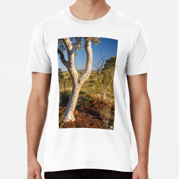 Karijini National Park, Western Australia Premium T-Shirt