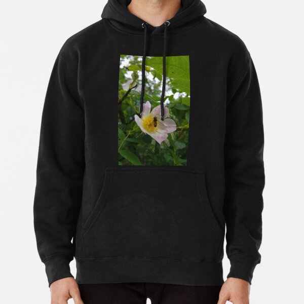 Hoverfly on a Dog Rose Flower Pullover Hoodie