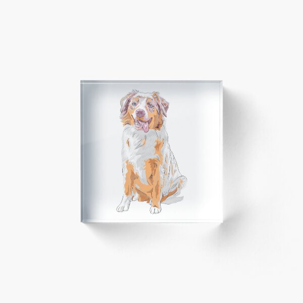 Australian Shepherd Acrylic Block