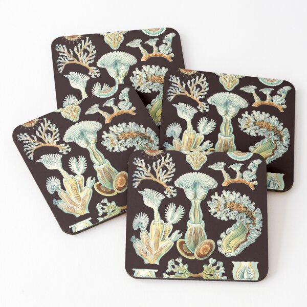 Item preview, Ernst Haeckel - Scientific Illustration - Bryozoa (black) Art Print designed and sold by ShaMiLaB.