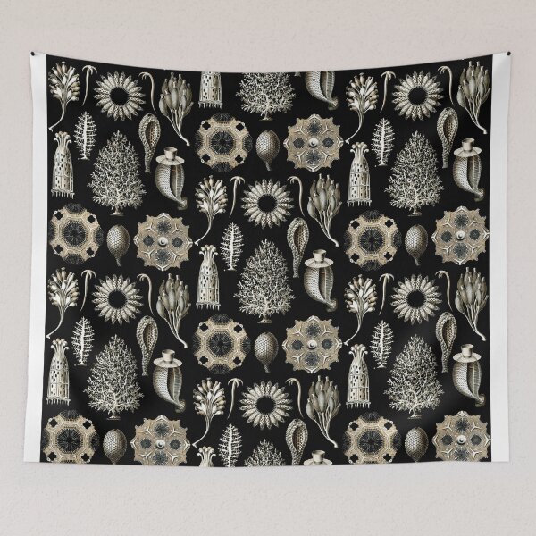 Item preview, Ernst Haeckel - Scientific Illustration - Calcispongiae designed and sold by ShaMiLaB.