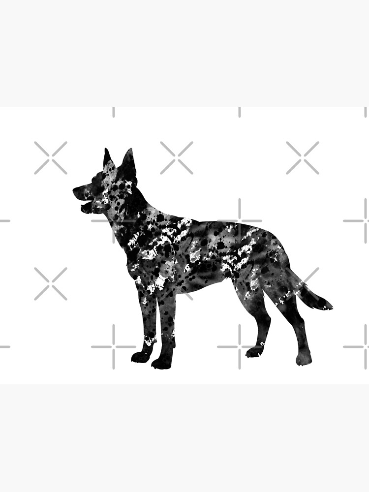 "Kelpie dog" Canvas Print for Sale by erzebetth Redbubble