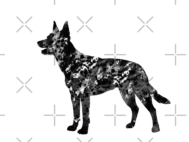 "Kelpie dog" by erzebetth Redbubble