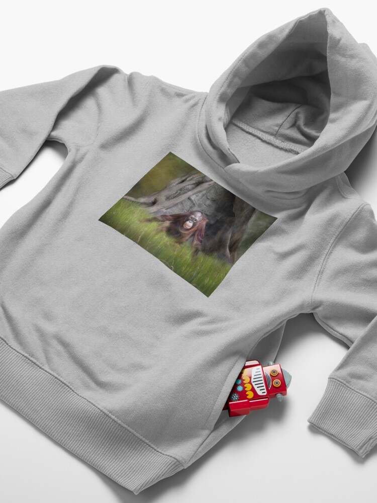 Alternate view of Ollie Toddler Pullover Hoodie