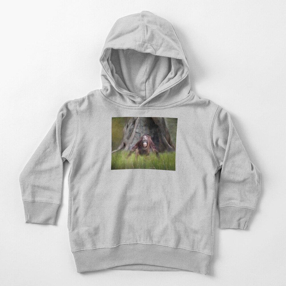 Ollie Toddler Pullover Hoodie