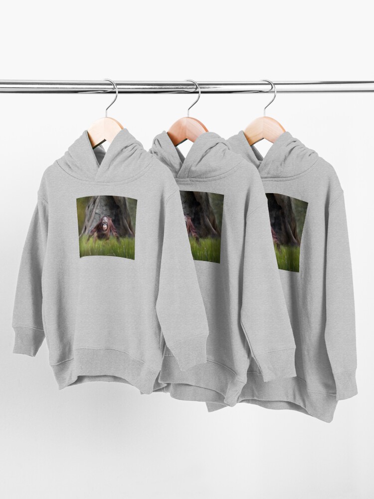 Alternate view of Ollie Toddler Pullover Hoodie