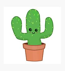 Lámina fotográfica Lindo cactus