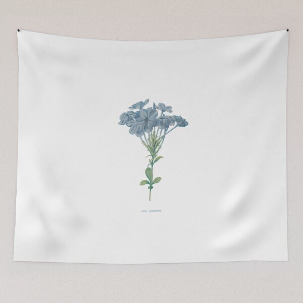 Item preview, Cape Leadwort Print, Original Flower Print, Botanical Antique, Antique print, Cape Leadwort Wall art, Cape Leadwort Flower, Botanical Prints designed and sold by Studio66Designs.