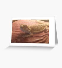 Beardie Love Greeting Card