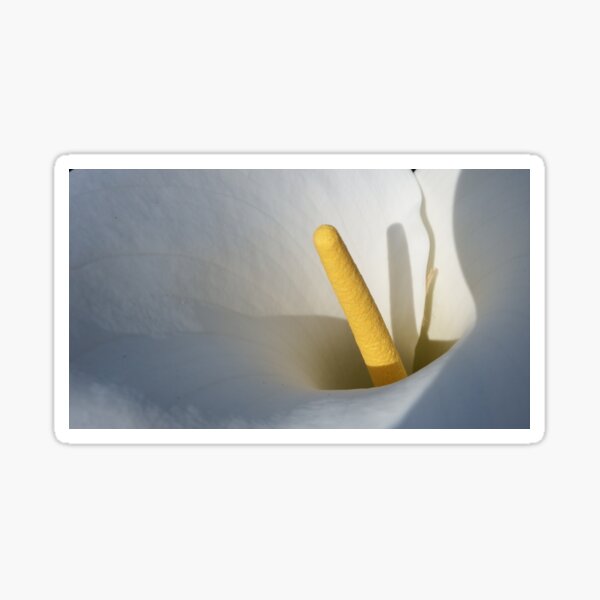 Arum Lily Sticker