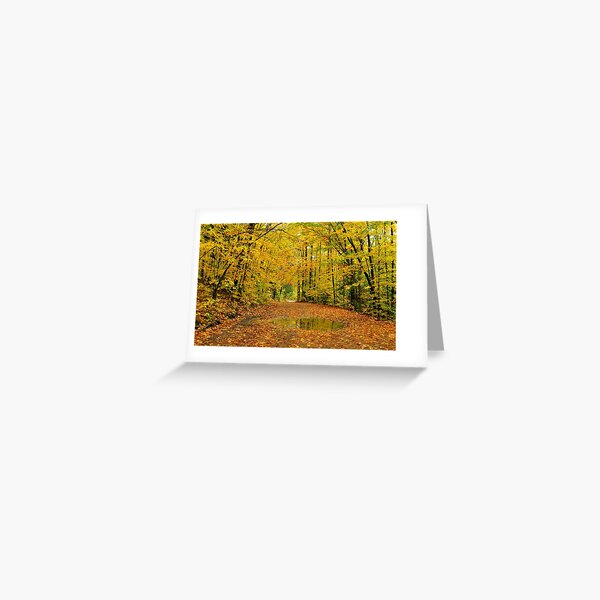 Golden Canopy Greeting Card