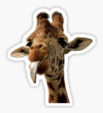 Giraffe tongue! Sticker