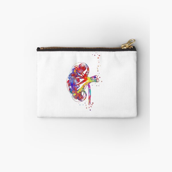 Item preview, Kidney section, human anatomy, urology, kidney  designed and sold by Rosaliartbook.