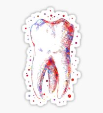 Human tooth, watercolor tooth, tooth, dental print Sticker