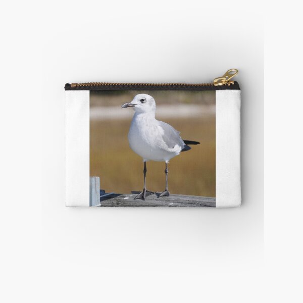 Item preview, Seagull Waiting for its Next Meal designed and sold by 2CrabbySisters.
