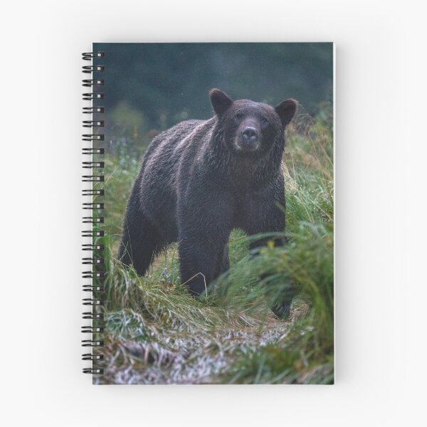 Item preview, Approaching Grizzly designed and sold by elissatitle.