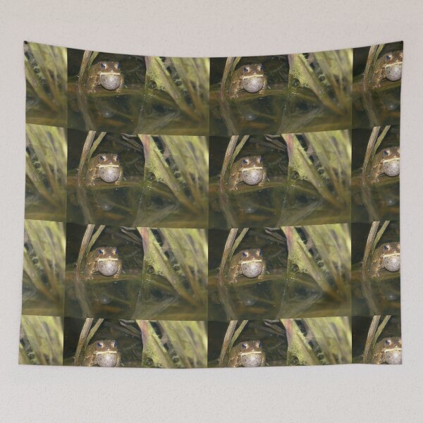 Item preview, A Frog who would awooing go! designed and sold by Billlee.