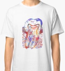 Tooth, Watercolor Tooth, Tooth anatomy Classic T-Shirt