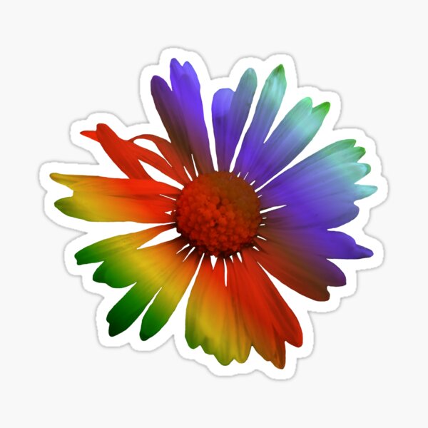 wunderschöne, bunte Margerite, Blume, Regenbogen Sticker