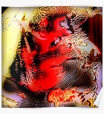 Manipulated SX70 Poster