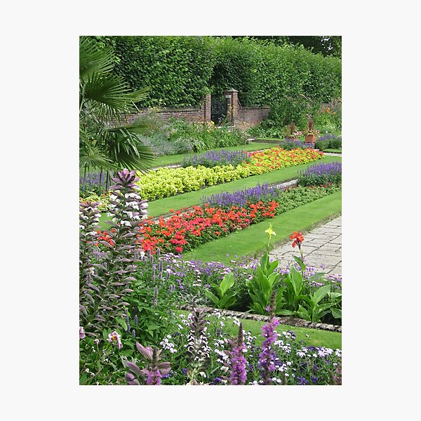 Item preview, Royal English Garden designed and sold by Katie Catano.