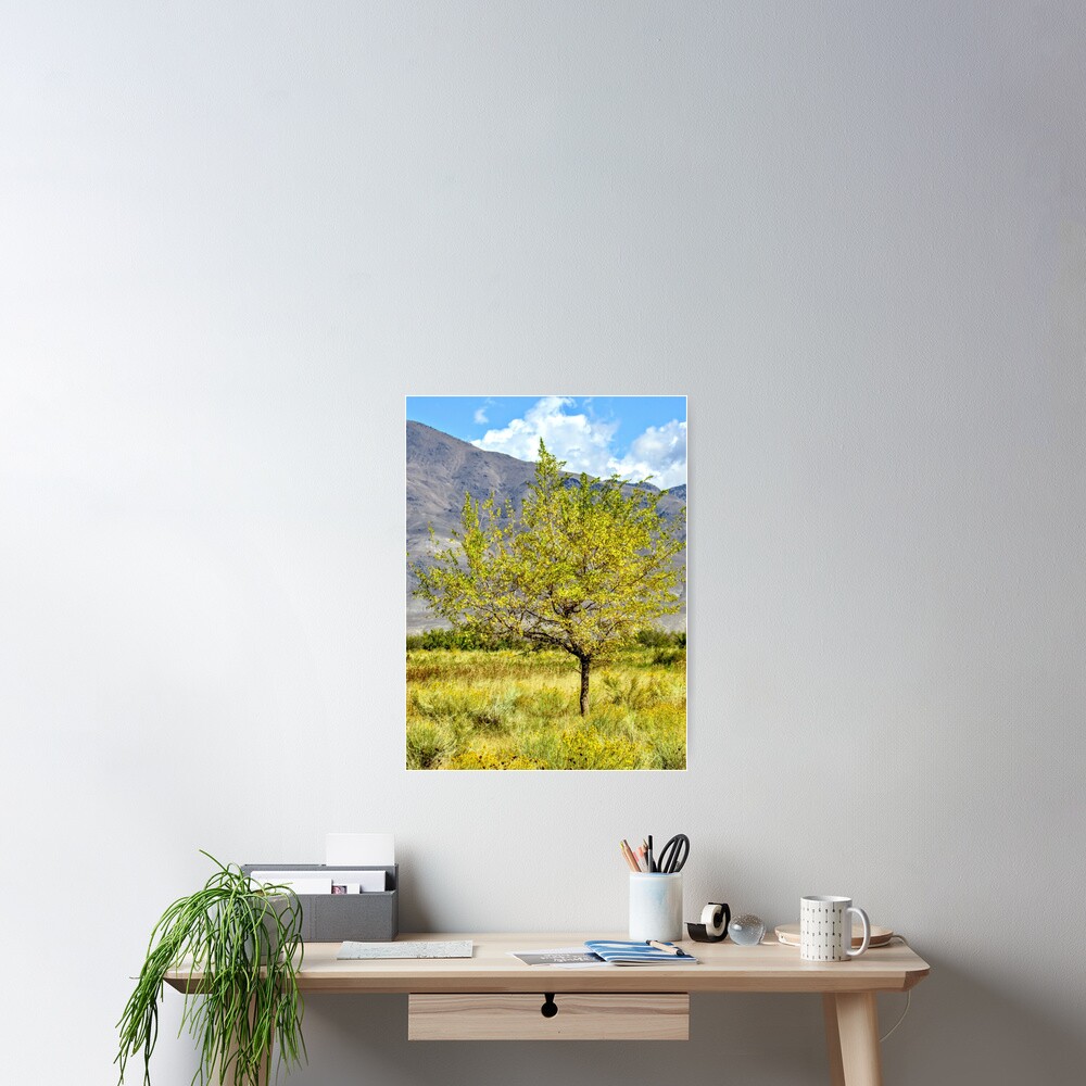 Item preview, Poster designed and sold by geteup.