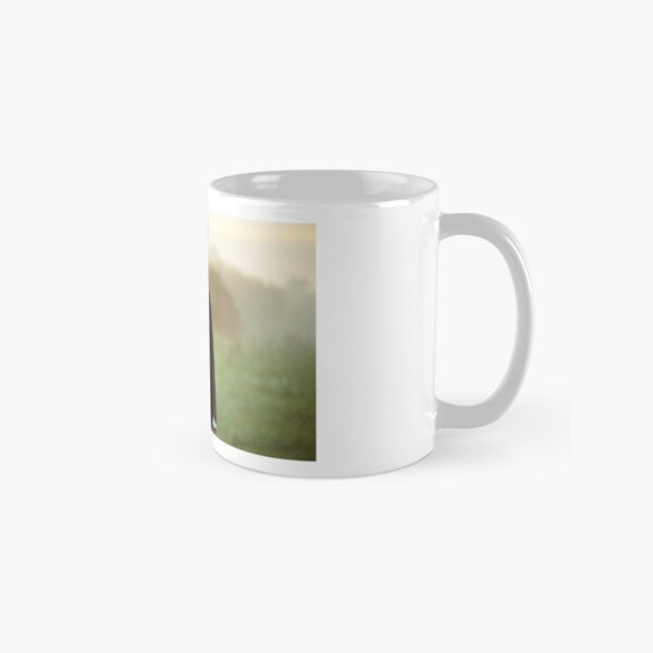 Mr. Darcy Classic Mug