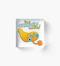 Cambrian Cutie Opabinia Acrylic Block