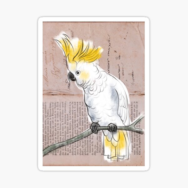 Cockatoo Sticker