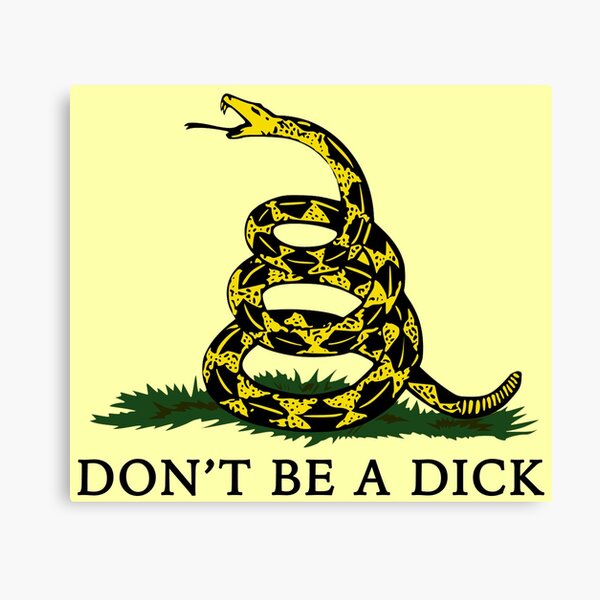 Don't Be A Dick Canvas Print