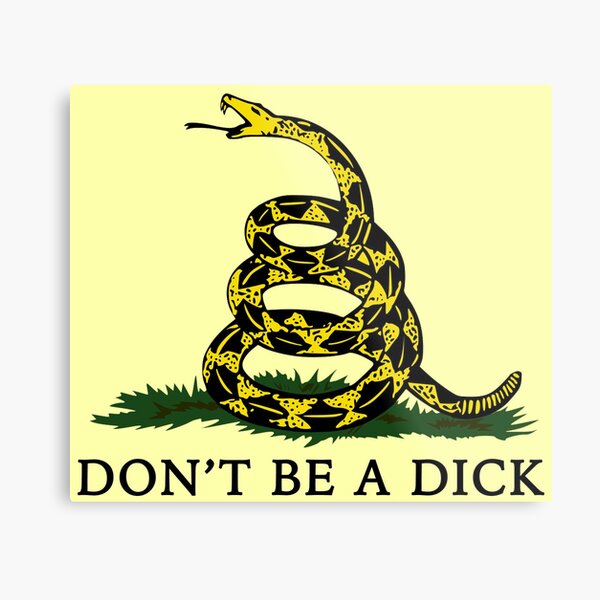 Don't Be A Dick Metal Print