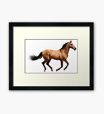 Laufendes Pferd Gerahmtes Wandbild