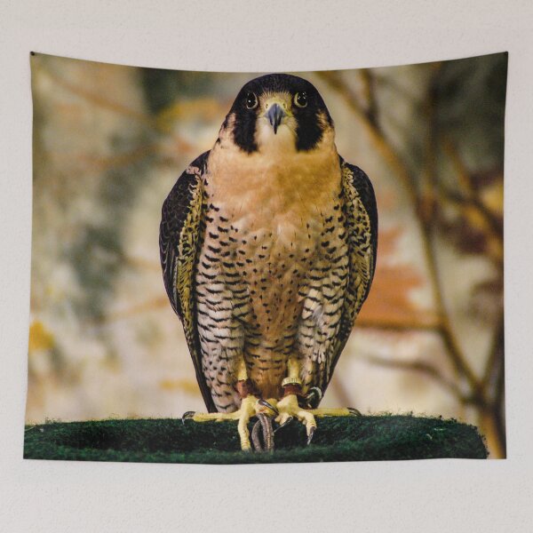 Item preview, The eyes of the Raptor designed and sold by SRosuphotos.