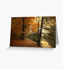 A Leafy Path Greeting Card