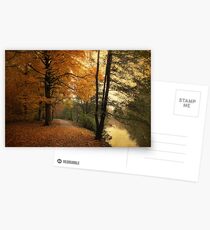 A Leafy Path Postcards